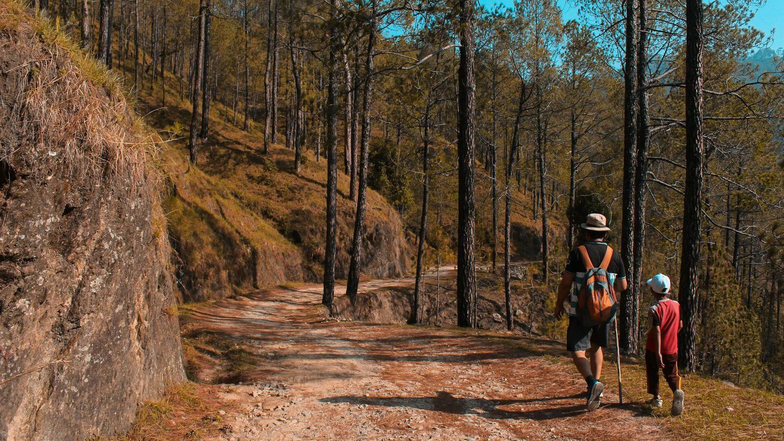 Como montar um kit de primeiros socorros compacto para viagens